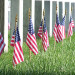 Annual Placement Of Flags At Avondale Cemetery