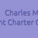 Charles Metcalfe - Flint Charter Commission