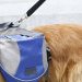 NEWS RELEASE: State Police encourages Michiganders to Create an Emergency Preparedness Kit for Pets