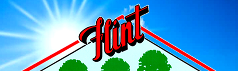 City of Flint Parks: Millage Renewal